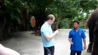 Elephant lifting Toby