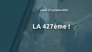 La 427ème !