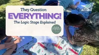 When Kids Question Everything: Understanding the Dialectic (Logic) Stage