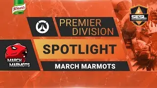 Premier Division Spotlight March Marmots - Overwatch Spring Season 2019