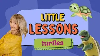 Learn to Talk with It&rsquo;s CeCe! I Soothing Baby & Toddler Videos I Learn about TURTLES! I First Words