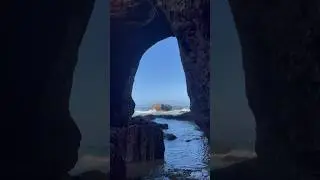 tidepool magic #oregoncoast #oregon #naturevibes #naturevideography #naturelover