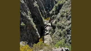 Naturaleza