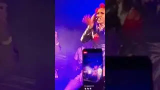 Nelly Cottoy LIVE at Fire Fest 2023 (Nom Nom)
