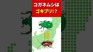 【豆知識】コガネムシはゴキブリ #shorts