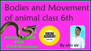 Bodies and movement of vertebrate and invertebrate  animals || snail , Fish cockroach movement
