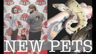EXOTIC PET EXPO &middot; Show Me Snakes 05/2018