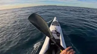 Calm Seas & Humpbacks