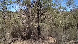 Hans Heysen Lookout, Flinders Ranges September 2019 480p