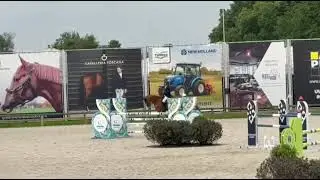 9 y old mare Vigo D’Arsouilles x Sandro boy 1.35m Azelhof 