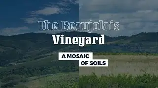 The Beaujolais Vineyard, a Mosaic of Soils - Shortened Version