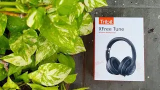 🔥 Tribit Xfree Tune 🔥| The Truth of Best Sounding Bluetooth HeadPhones Under 4000🔥