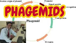 PHAGEMIDS - TAMIL EXPLANATION