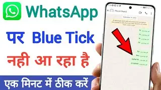 whatsapp blue tick not showing | whatsapp message seen but no blue ticks | whatsapp blue tick