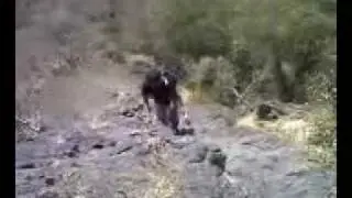Gorakh Gad EnA.