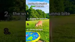 Ranking the Funniest Deer Moments 🦌🦌 #funnyanimals #ranking #cute #funny