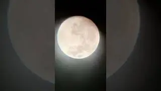 Wolf Moon 2022 🌜🐺