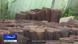 Tunisian startup turns olive waste into clean energy