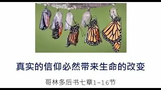 Vancouver Canaan Church Chinese Service (Jan 18th, 2026) / 温哥华迦南堂中文崇拜