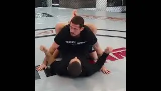 Лопатка Фираса Захаби