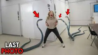 The Most HORRIFYING Snake Attacks Ever Recorded On Camera!