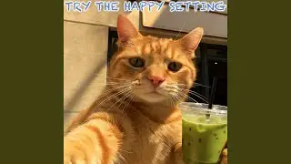 Try The Happy Setting