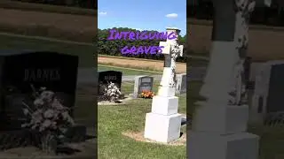 Intriguing Graves. #shorts
