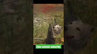 आज होगा खूंखार वीडियो का शिकार#russiancardriver #viralshorts #viralvideo #gaming