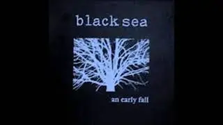black sea washed away