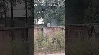 The Strange Incident Caught on Camera in Samsan Ghat | #Girudi #bansur #alwar #breaking #News
