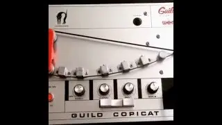 70's Watkins WEM Guild copicat after service and warble fix