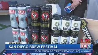 San Diego Brew Festival