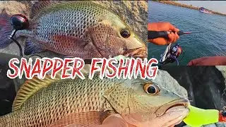 Beautiful Red Snappers ||Tambusa ||ಕೆಂಬೆರಿ|| Fishing from breakwaters of Malpe - ಮಲ್ಪೆ- UDUPI 