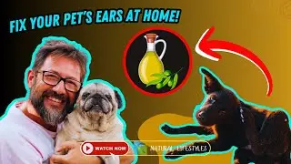 How to Treat Dog Ear Infections Naturally at Home 🐶🌱 (Vet-Approved Tips)