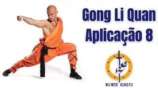 Gong Li Quan - Aplica&ccedil;&otilde;es 8
