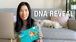 My Dog's Breed Reveal // DNA Test | Embark | Dog DNA Test | Breed + Health Kit