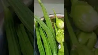 ताजी ताजी  भाजी कुणी दिली 🤔 #vegetable #brinjal  #ridgegaurd #greenvegetable #food