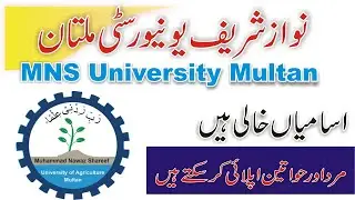MNS University of Agriculture Multan Jobs May 2022 | Application Procedure | Lecture Jobs in Multan