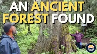 Walking Through Time | Our Journey Home to Alaska