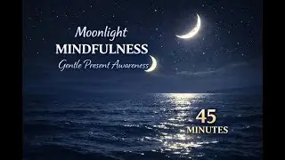 Moonlight Mindfulness 🌙 Gentle Present Awareness & Inner Stillness (45 Minutes)