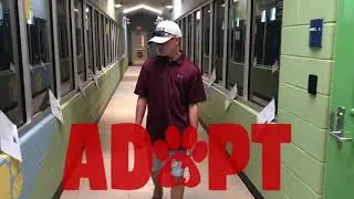 Visit Rockwall Adoption Center