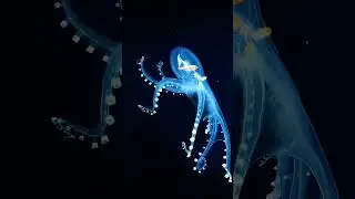 part-123 world mythical creature