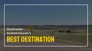 Why You SHOULD Visit The Landing