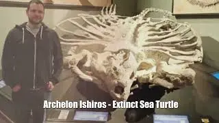 A Mysterious 500 000 Year Old Artifact Discovered