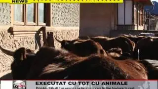 executat cu tot cu animale