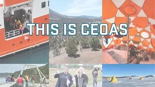 This is CEOAS