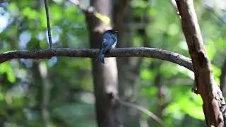EVT427 ENVIRONMENTAL AWARENESS VIDEO - WATER CYCLE