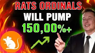 RATS ORDINALS COIN IS ABOUT TO EXPLODE! RATS COIN NEW 100X POTENTIAL - RATS PRICE PREDICTION 2024!