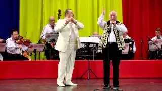Pera Bulz - Doina