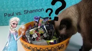 Paul Vs Shannon Mystery Blind Bag Picks Disney Tsum MLP Mashems Opening | PSToyReviews